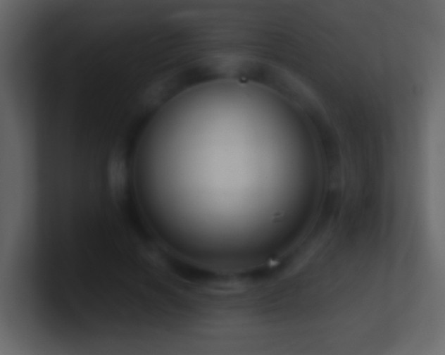 X0000101440646200807071403