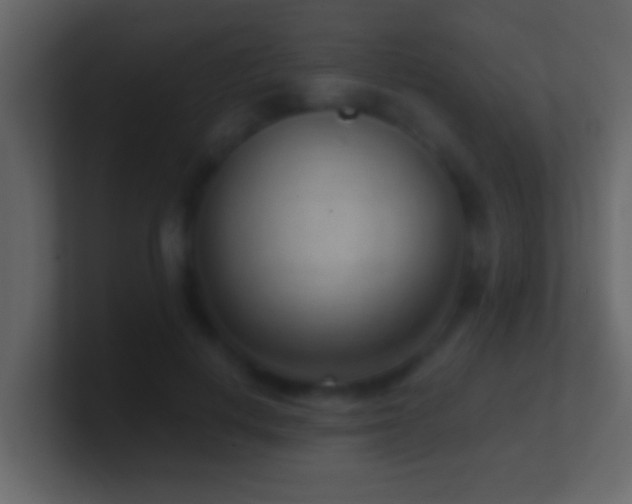 X0000101440648200807071403