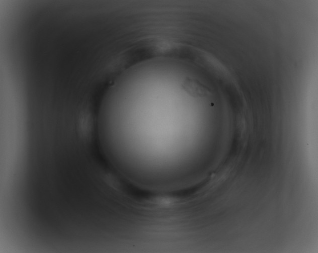 X0000101440654200807071403