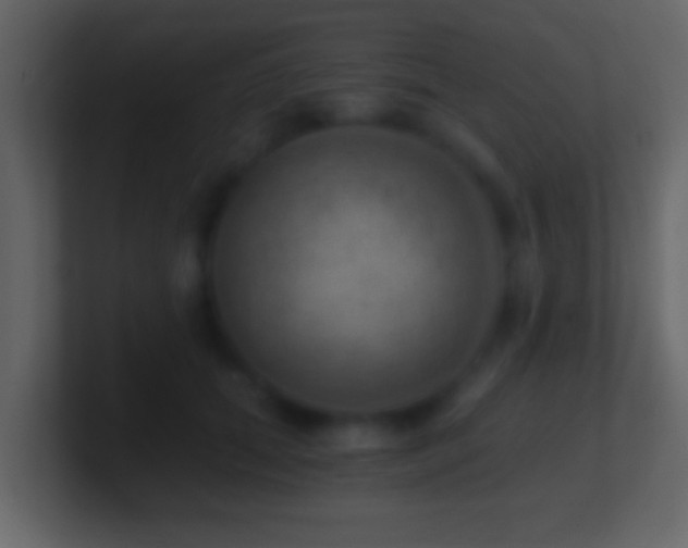 X0000101440655200807071403