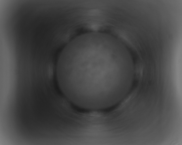 X0000101440656200807071403