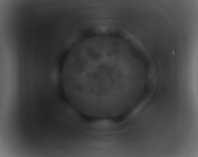 X0000101440659200807071403