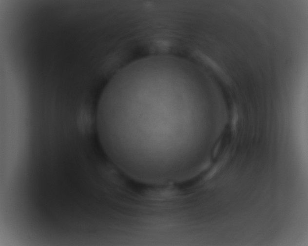 X0000101440661200807071403