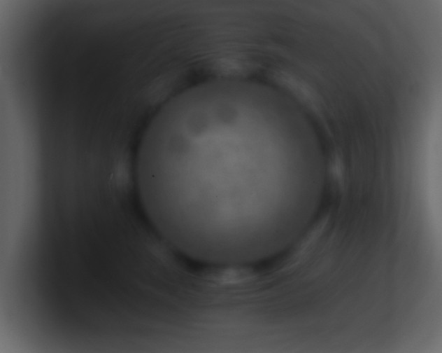 X0000101440663200807071403