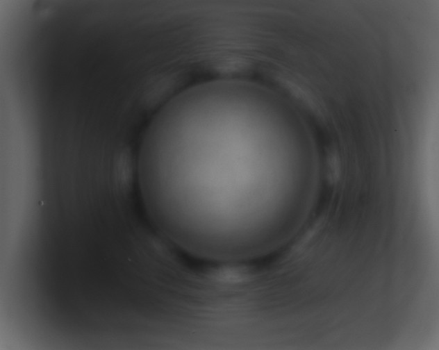 X0000101440664200807071403