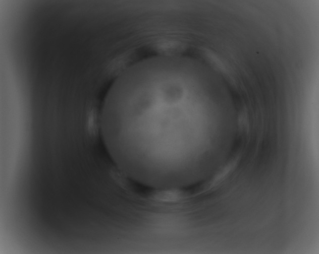 X0000101440671200807071404