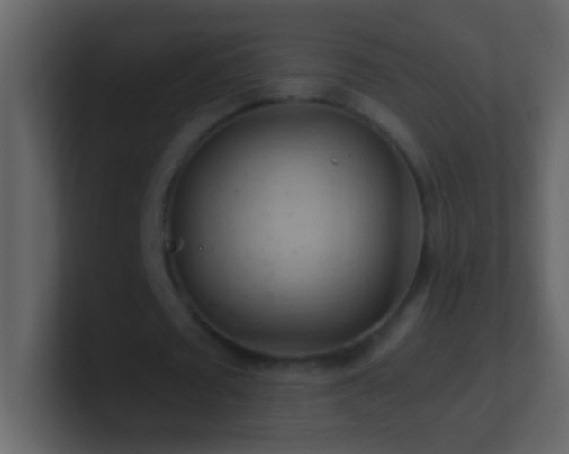 X0000101440673200807071403