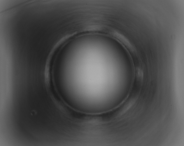 X0000101440676200807071403