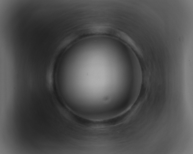 X0000101440677200807071403