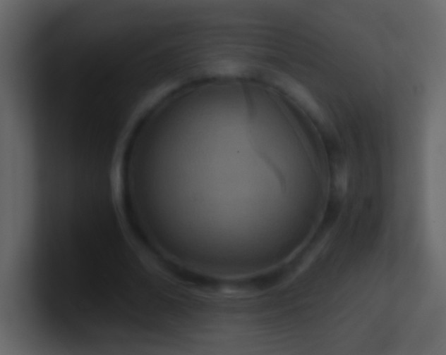 X0000101440678200807071403