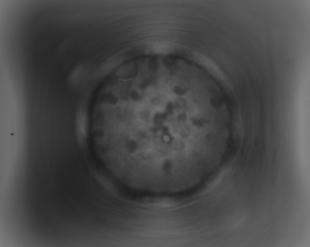 X0000101440683200807071403