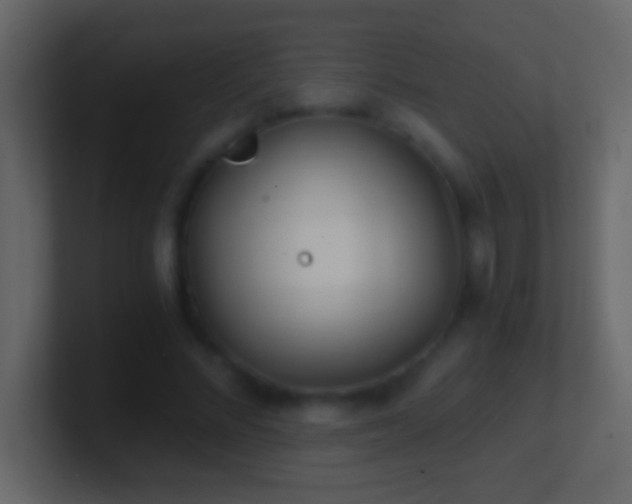 X0000101440684200807071403