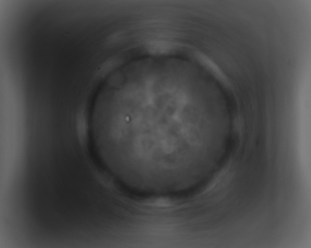 X0000101440687200807071403