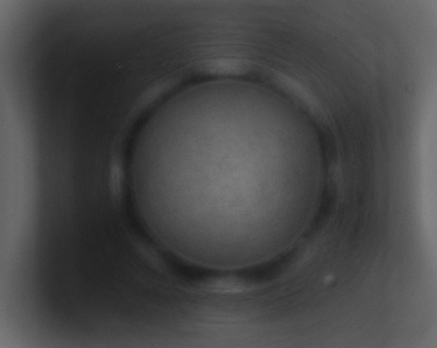 X0000101440688200807071403