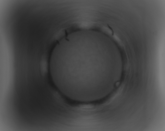 X0000101440689200807071403