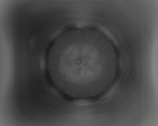 X0000101440691200807071403