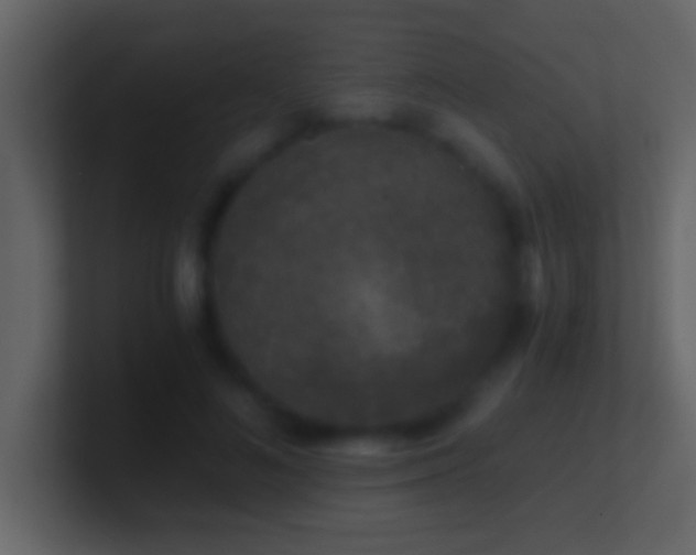 X0000101440692200807071403