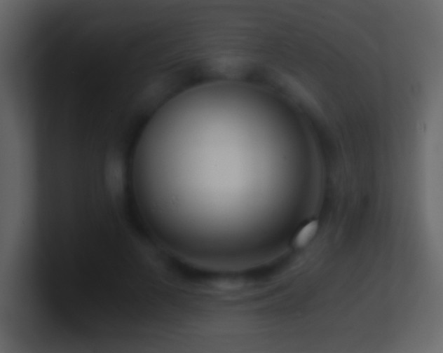 X0000101440693200807071403