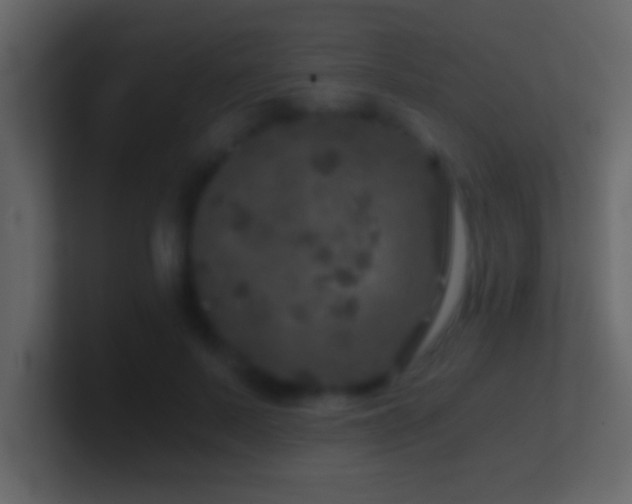 X0000101440695200807071403