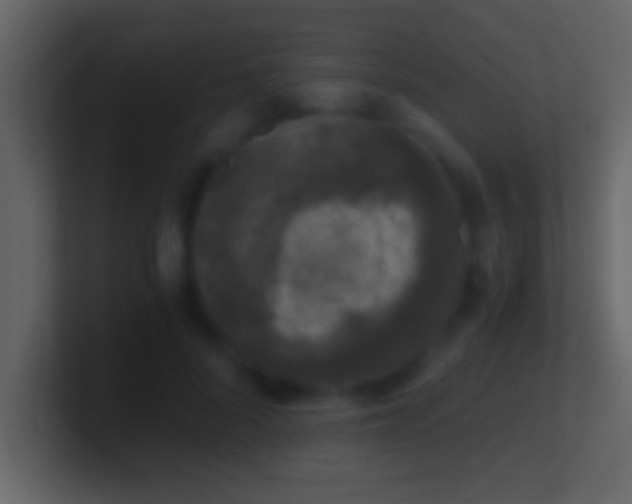 X0000101440696200807071403