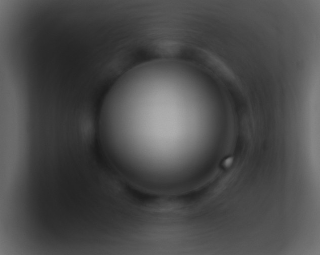 X0000101440697200807071403