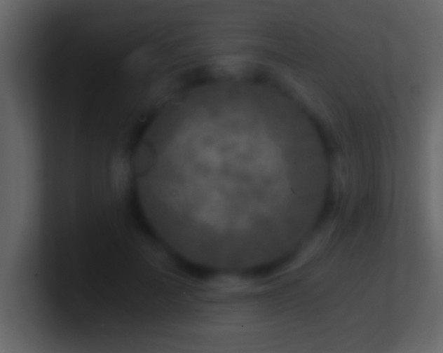 X0000101440699200807071403