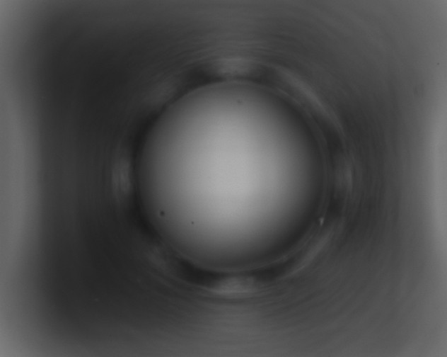 X0000101440700200807071403