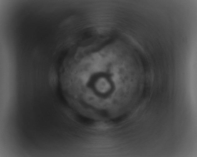 X0000101440703200807071403