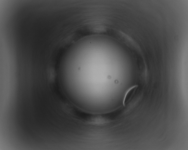 X0000101440704200807071403