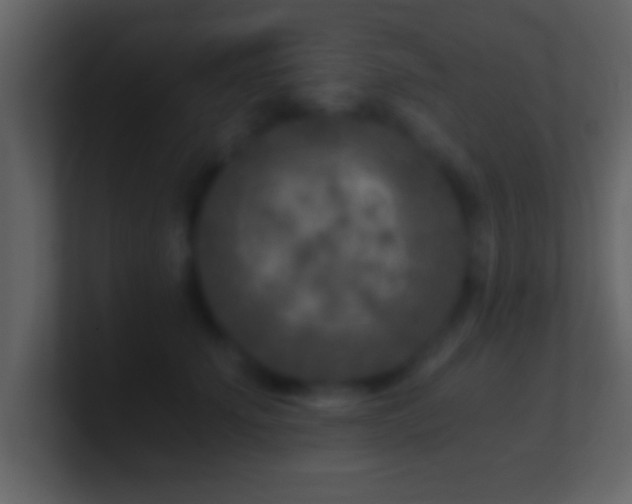 X0000101440707200807071403