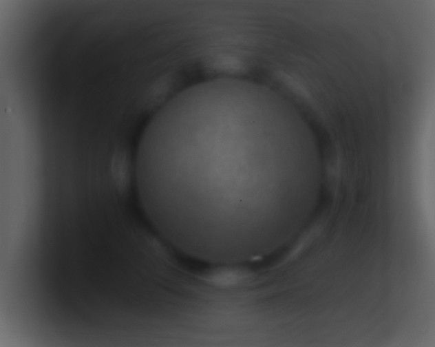 X0000101440708200807071402