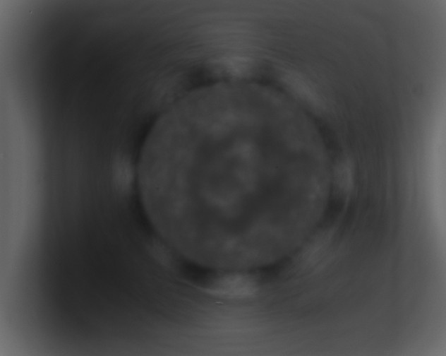 X0000101440709200807071402