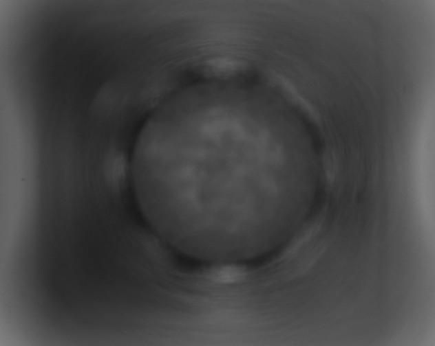 X0000101440711200807071402