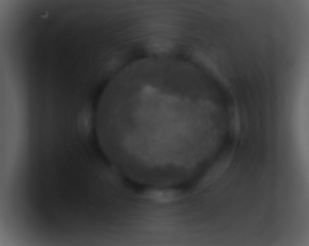 X0000101440712200807071402