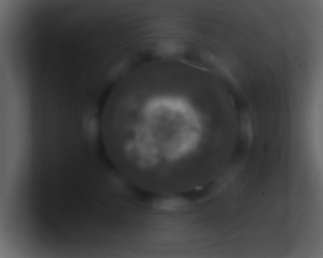 X0000101440716200807071402