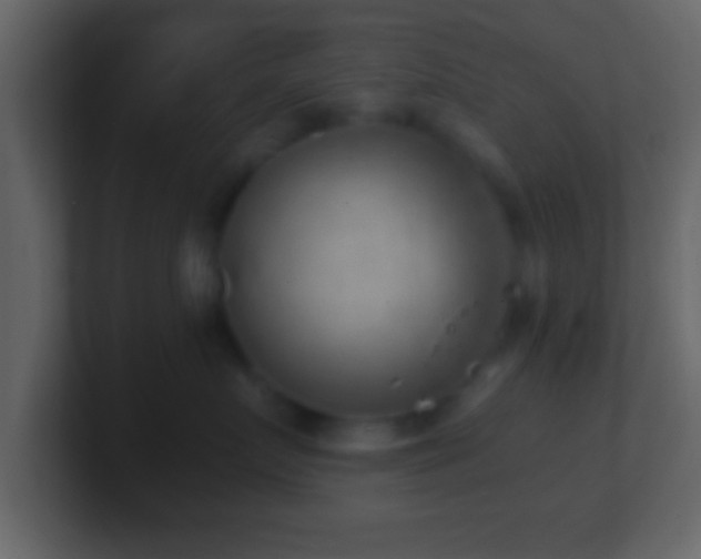 X0000101440719200807071402