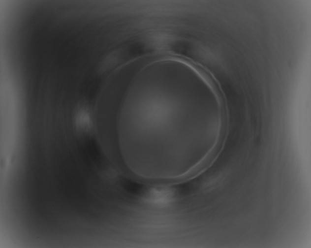 X0000101440720200807071402