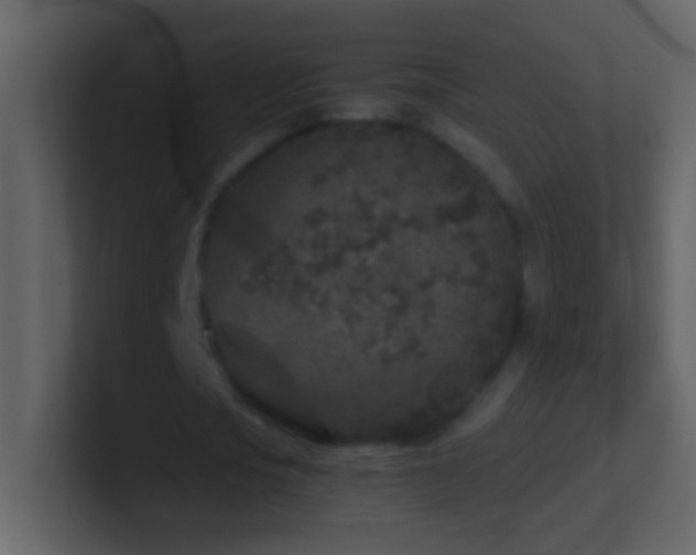 X0000101440721200807071402