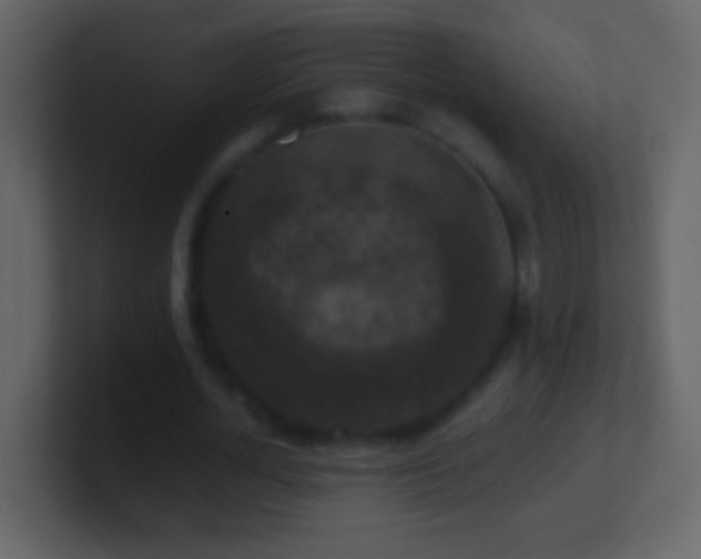 X0000101440724200807071402