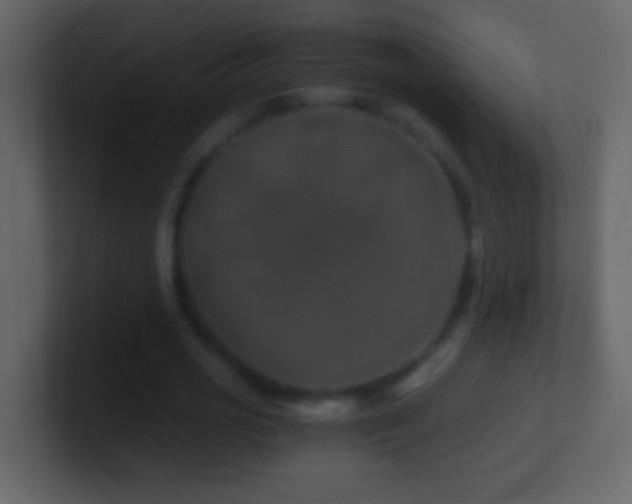 X0000101440725200807071402