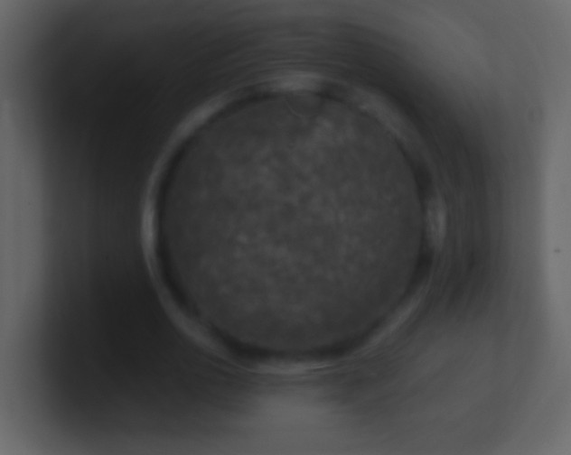 X0000101440726200807071402