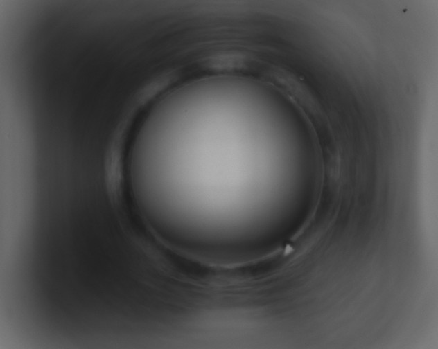 X0000101440727200807071402