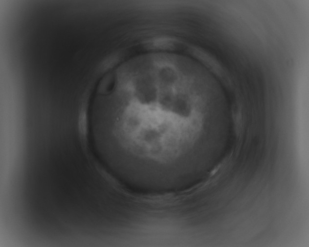 X0000101440729200807071402