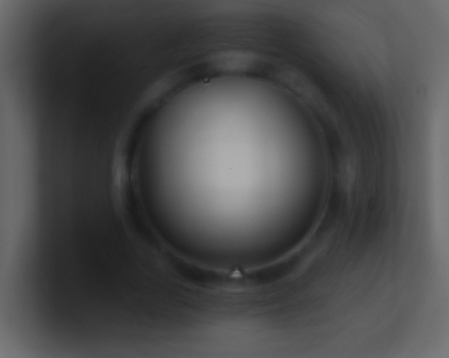 X0000101440731200807071402