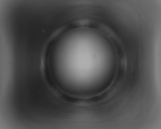 X0000101440732200807071402