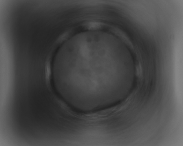 X0000101440733200807071402