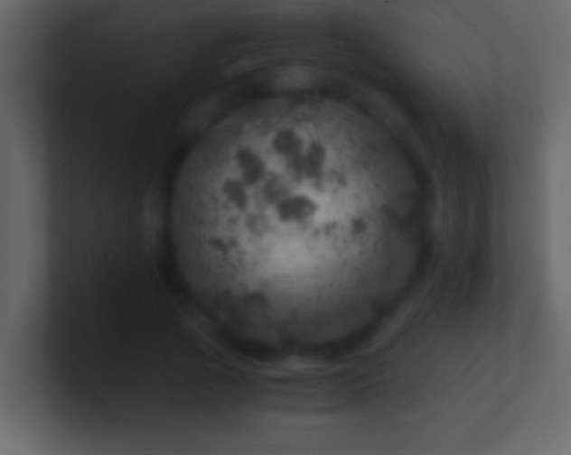 X0000101440737200807071402