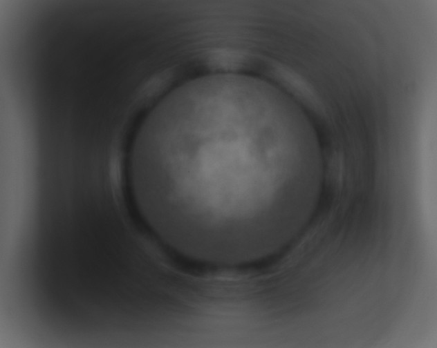 X0000101440738200807071402