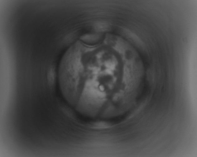 X0000101440741200807071402