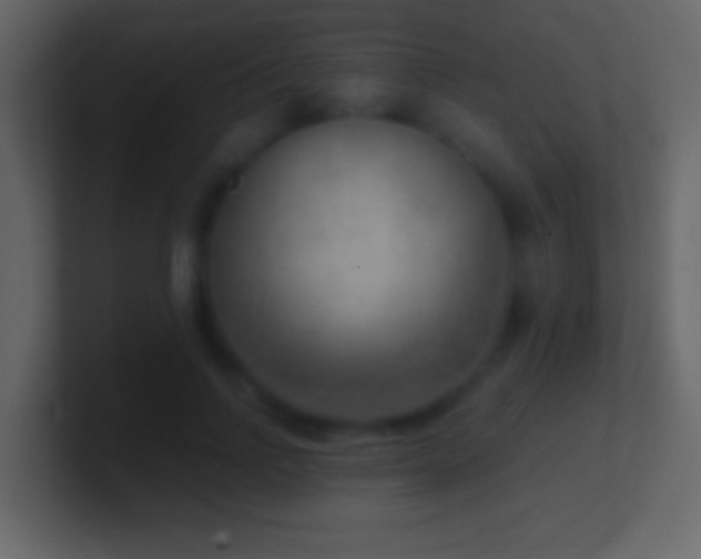 X0000101440742200807071402